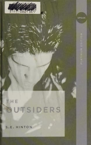 Cover of The Outsiders