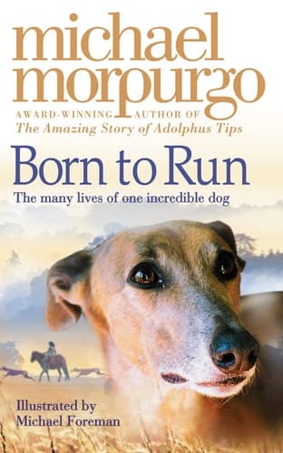 Cover of Born to Run