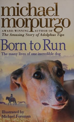 Cover of Born to run