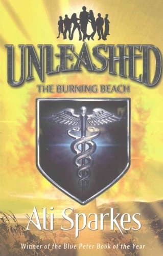 Cover of The burning beach