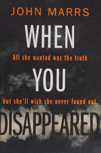 Cover of When You Disappeared