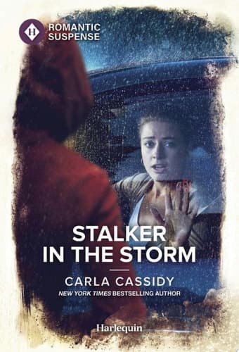 Cover of Stalker in the Storm