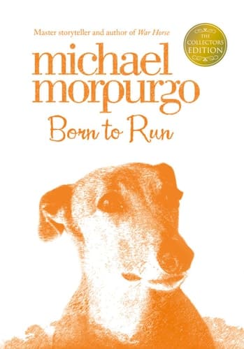Cover of Born to Run (Collector's Edition)
