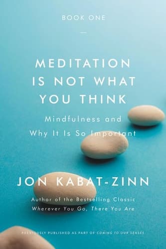 Cover of Meditation is not what you think