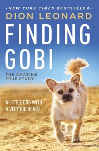 Cover of Finding Gobi