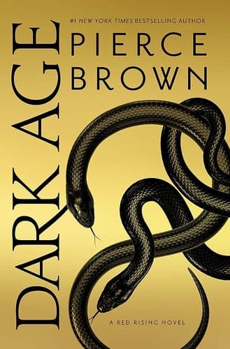 Cover of Dark Age