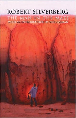 Cover of The Man in The Maze