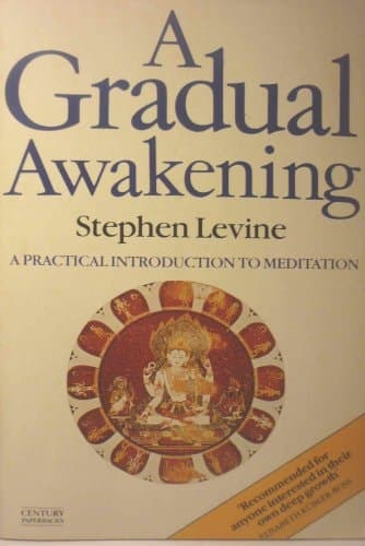 Cover of A GRADUAL AWAKENING (A RIDER BOOK)