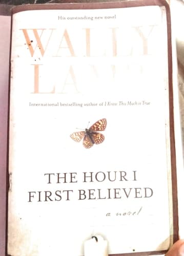 Cover of The Hour I First Believed A Novel