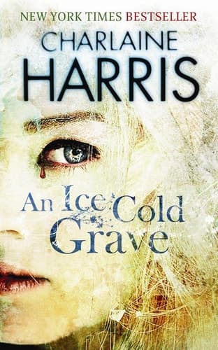 Cover of Ice Cold Grave