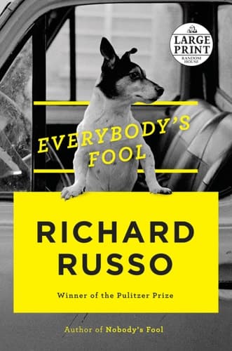 Cover of Everybody's fool