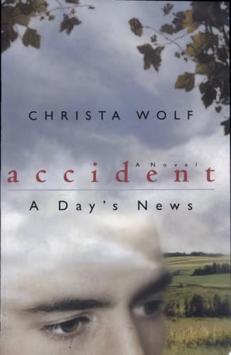Cover of Accident: A Day's News