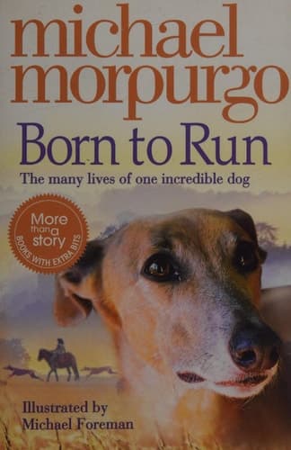 Cover of Born to run