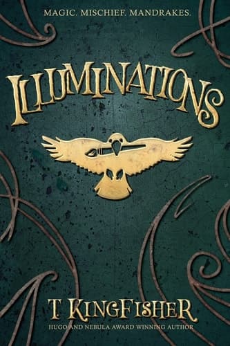 Cover of Illuminations