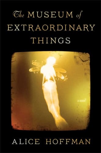 Cover of The Museum of Extraordinary Things A Novel