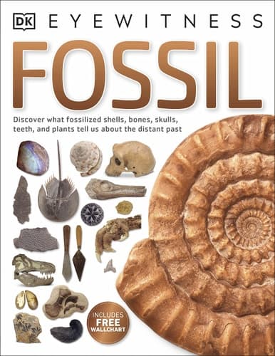 Cover of Fossil - DK Eyewitness Books
