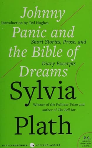 Cover of Johnny Panic and the Bible of Dreams