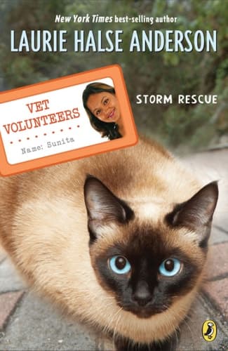 Cover of Storm Rescue