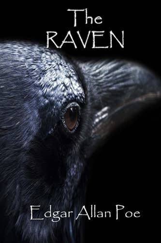 Cover of The Raven