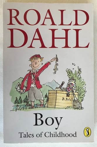 Cover of Boy