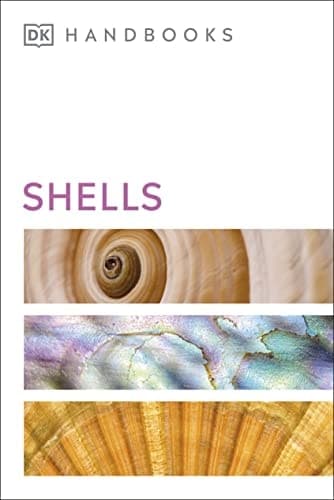 Cover of Handbook of Shells