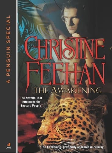 Cover of The Awakening
