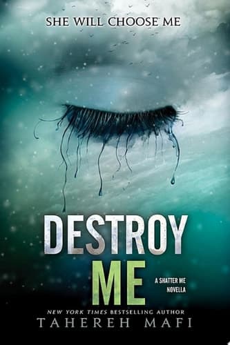 Cover of Destroy Me