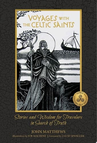 Cover of Voyages into Vision