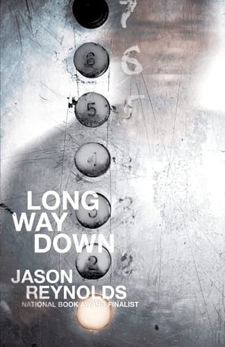 Cover of Long Way Down