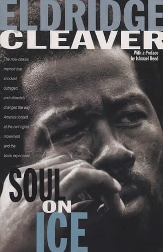 Cover of Soul On Ice