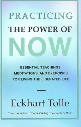 Cover of Practicing the power of now