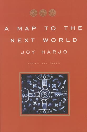 Cover of Map to the Next World
