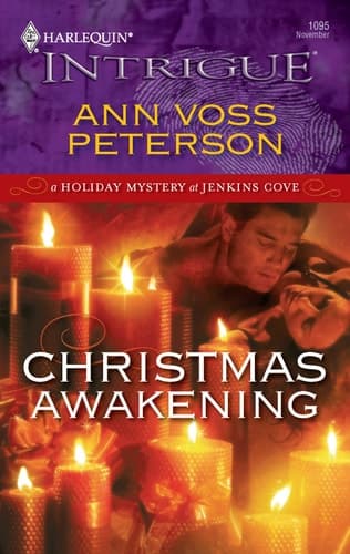 Cover of Christmas awakening