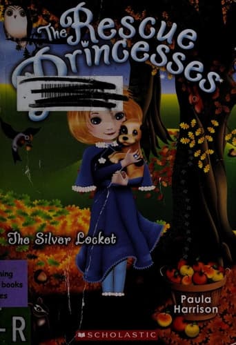 Cover of The silver locket