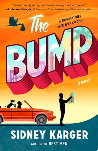 Cover of The Bump