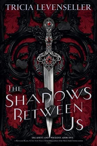 Cover of The Shadows Between Us