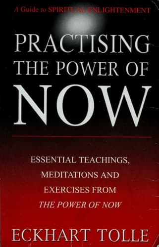 Cover of Practising the power of now