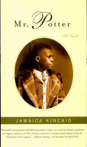 Cover of Mr. Potter