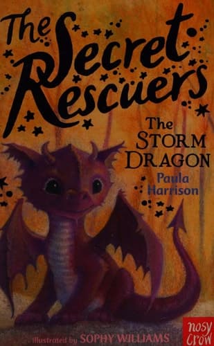 Cover of The storm dragon