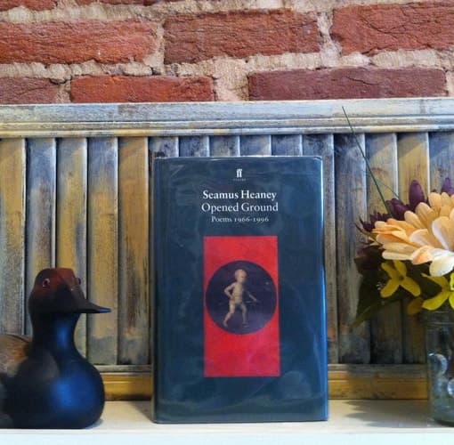 Cover of Opened Ground