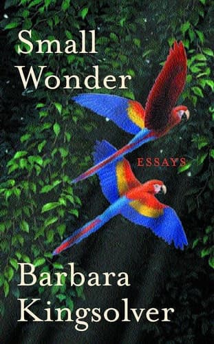 Cover of Small Wonder
