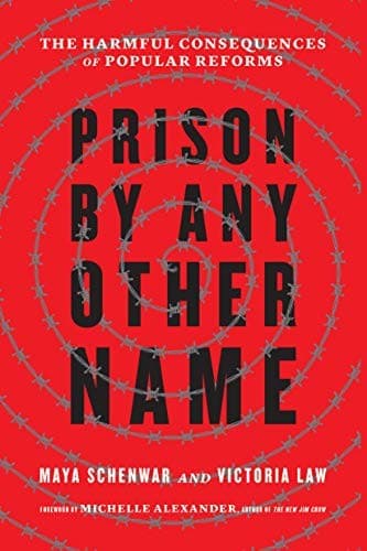 Cover of Prison by Any Other Name