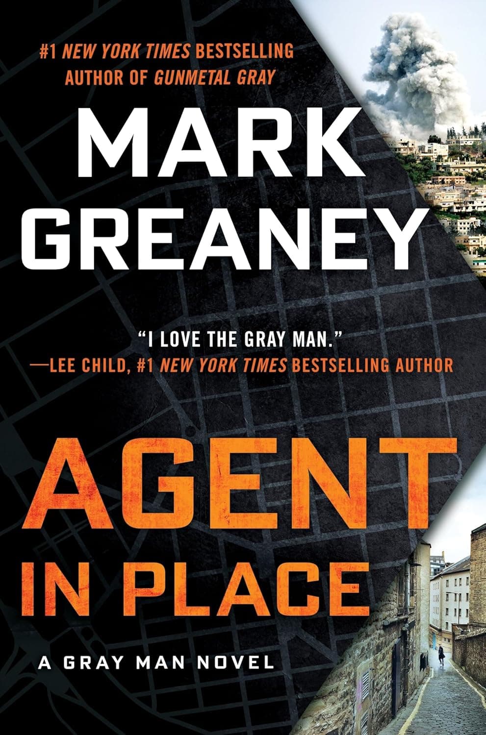 Cover of Agent in Place