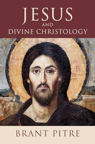 Cover of Jesus and Divine Christology