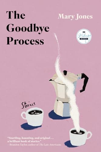 Cover of The Goodbye Process