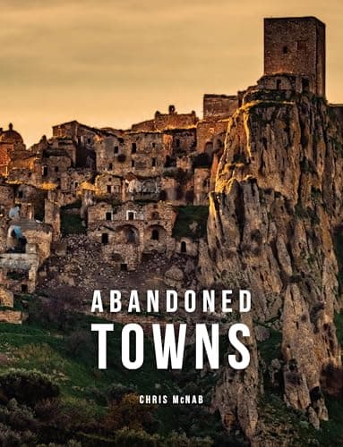 Cover of Abandoned Towns