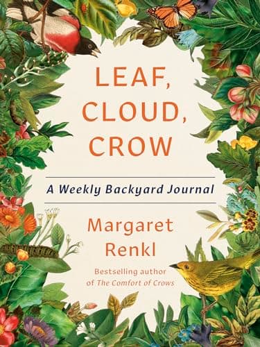 Cover of Leaf, Cloud, Crow