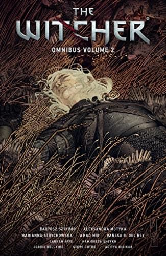 Cover of Witcher Omnibus Volume 2