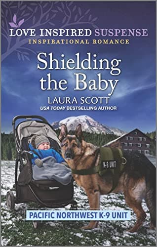 Cover of Shielding the Baby