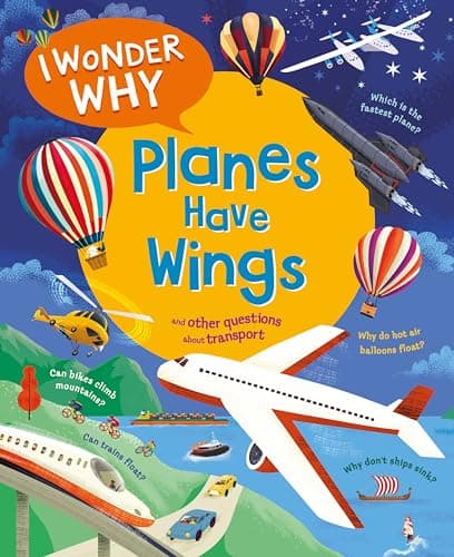 Cover of I Wonder Why Planes Have Wings